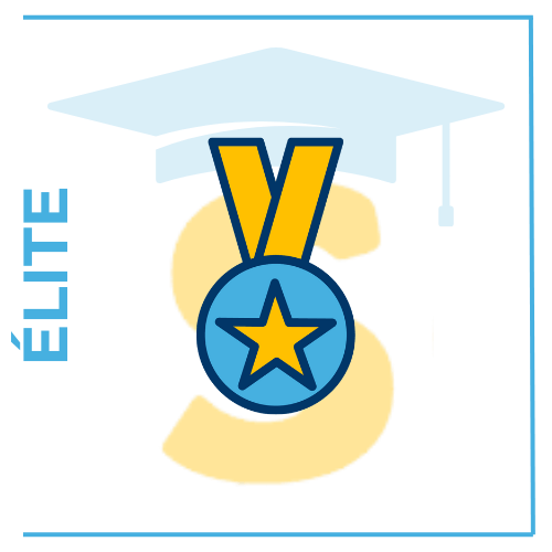 certificacion seguridad informatica secitor elite
