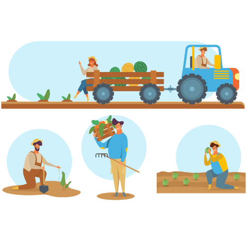 software informatico para agricultura